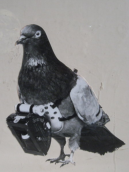 449px-Dr_Julius_Neubronner_patented_a_miniature_pigeon_camera_activated_by_a_timing_mechanism,_1903